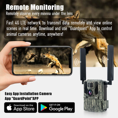 Fotocamera 4G con capacità di visualizzazione remota e alloggiamento robusto progettata per catturare immagini dettagliate in luoghi remoti