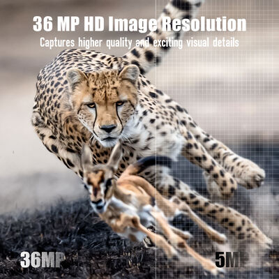 Fotocamera 4G con capacità di visualizzazione remota e alloggiamento robusto progettata per catturare immagini dettagliate in luoghi remoti
