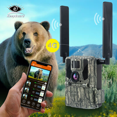Fotocamera 4G con capacità di visualizzazione remota e alloggiamento robusto progettata per catturare immagini dettagliate in luoghi remoti