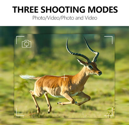 Telecamera di caccia a visione notturna per il gioco, con tempo di risposta ultra veloce inferiore a 0,25 secondi, progettata per il tracciamento degli animali