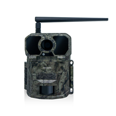 Telecamera Wireless Trail progettata per campo esteso con costruzione robusta e trasmissione di immagini chiare per compiti di monitoraggio all'aperto