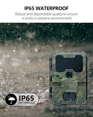 Telecamera wireless WiFi Bluetooth Mobile Trail Camera Ideale per applicazioni di sicurezza della caccia e monitoraggio della fauna selvatica