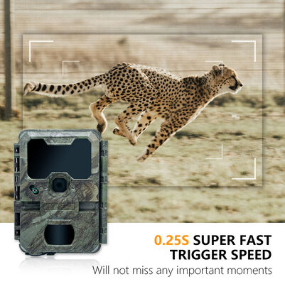 Fotocamera da caccia LCD da 2 pollici con dimensioni 110 × 97 × 66 mm adatta per l'osservazione professionale di animali all'aperto