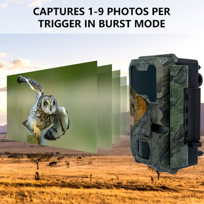 Fotocamera da caccia LCD da 2 pollici con dimensioni 110 × 97 × 66 mm adatta per l'osservazione professionale di animali all'aperto
