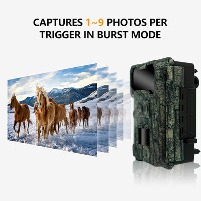 8 batterie AA fotocamera da caccia con connettività USB 2 0 integrata che fornisce potenza e accesso rapido ai dati per il monitoraggio all'aperto