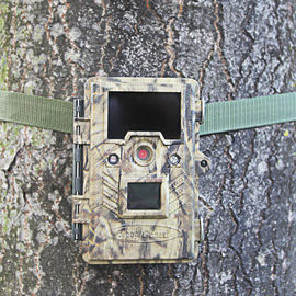 Cercando la macchina fotografica della fauna selvatica di Digital, macchina fotografica cercante infrarossa che trappola della macchina fotografica