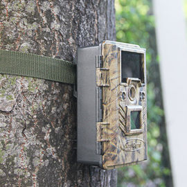 Le batterie hanno azionato la videosorveglianza animale infrarossa della traccia della macchina fotografica della fauna selvatica di Digital non senza fili