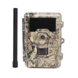 macchina fotografica senza fili della fauna selvatica del giardino 3G, videocamera della fauna selvatica del sensore di moto
