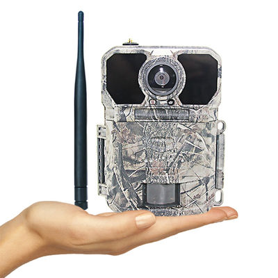 Nuvola antifurto a distanza di visione notturna del App LTE GPS di Keepguard 4,0 che cerca la macchina fotografica della traccia