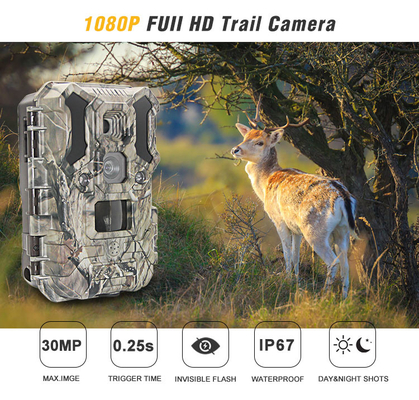 Macchina fotografica infrarossa 30MP 1080P IP66 di caccia della fauna selvatica del LED