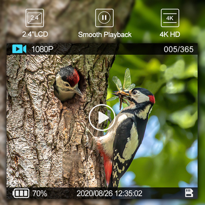 Telecamera WIFI per caccia all'aperto con app mobile per schermo di visualizzazione