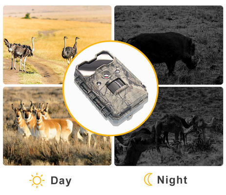 Telecamera per la fauna selvatica attivata dal movimento