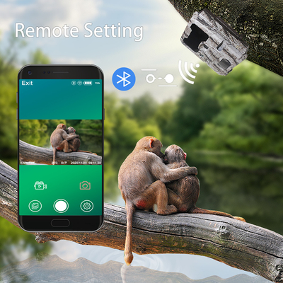 macchina fotografica APP della traccia di 940nm LED Wifi telecomandata nessun'incandescenza invisibile