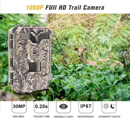 Macchina fotografica piena a 2,4 pollici di caccia della traccia di IR LED HD 1080P delle macchine fotografiche di caccia dello schermo HD