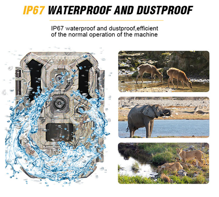 Cervi infrarossi cercare all'aperto 30MP Programmable di visione notturna della macchina fotografica della fauna selvatica della macchina fotografica IP67