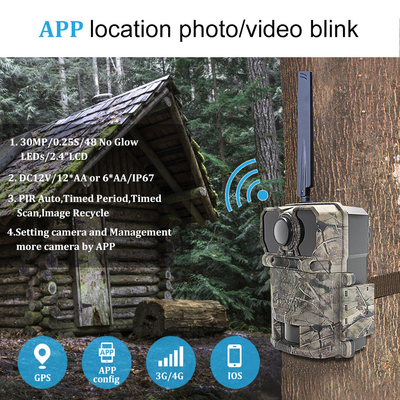 l'innesco 2,4" di 4G 0.25s visione notturna d'esplorazione cercante LCD IR della fauna selvatica della traccia della macchina fotografica ha tagliato la macchina fotografica infrarossa