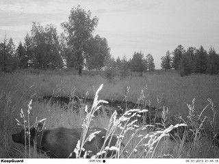 Camma della traccia IR di MMS di HD GPRS della macchina fotografica infrarossa del gioco di Digital piccola per esplorare