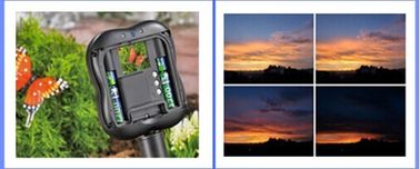 supporto SDHC MMC del Time Lapse della macchina fotografica di 1.3M Pixels Wildlife Garden