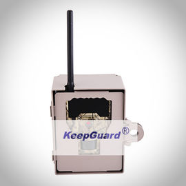 Dimensioni immagine all'aperto di KG870 Digital Live Wildlife Cameras 12MP 4000X3000