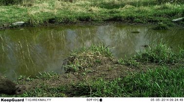 Macchina fotografica/Hunter Cameras cercare infrarossi d'esplorazione di Digital della traccia in cammuffamento