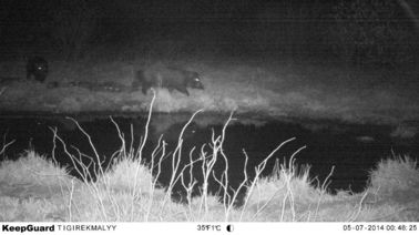 Macchina fotografica/Hunter Cameras cercare infrarossi d'esplorazione di Digital della traccia in cammuffamento