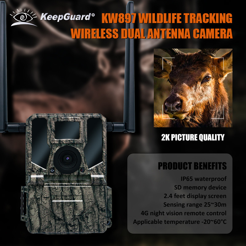 4G Wireless Trail Camera Hidden Camouflage KW897 con doppia antenna visione notturna 36MP 2K Video per la caccia ai cervi