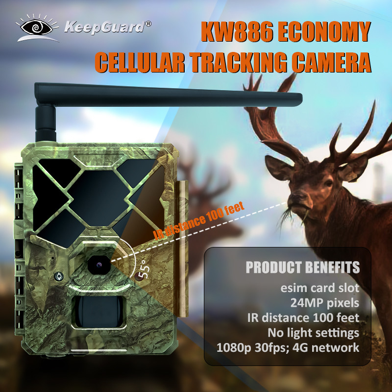 KW886 camera per la caccia su sentieri forestali e fauna selvatica con controllo APP 4G SIM card 24MP 1080P a 30fps visione notturna impermeabile IP67