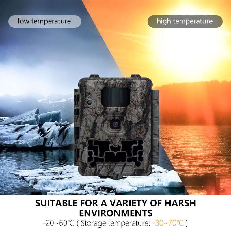 Fotocamera professionale per la caccia con Auto IR-Cut-Remove e supporto per micro obiettivo da 450mm per immagini chiare e dettagliate della fauna selvatica