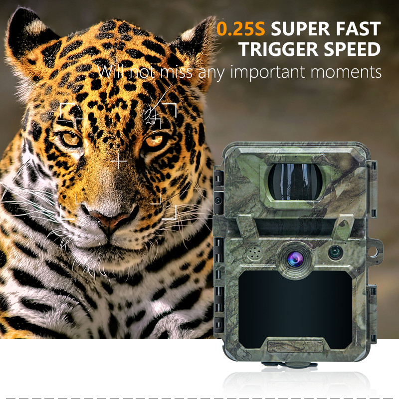 Trail Camera ODM/OEM KW571 impermeabile IP67 Sensore CMOS senza lucentezza 30MP foto 1080P 0,25s velocità di attivazione visione notturna