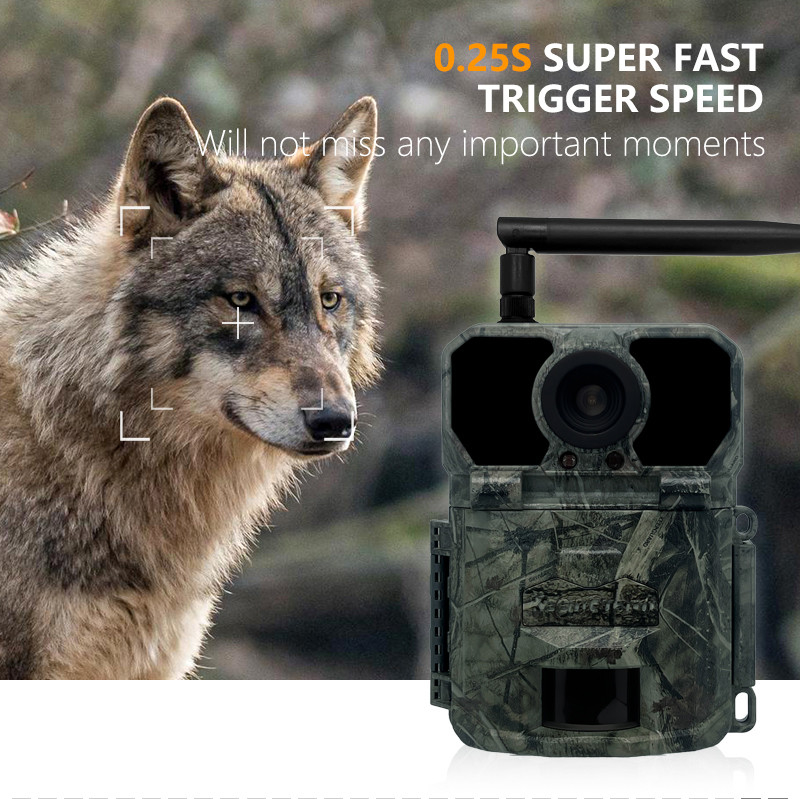 Fotocamera 4G KW895 con APP 2K FHD Video immagine 30MP impermeabile IP67 fino a 512GB di archiviazione per la ricerca sulla fauna selvatica