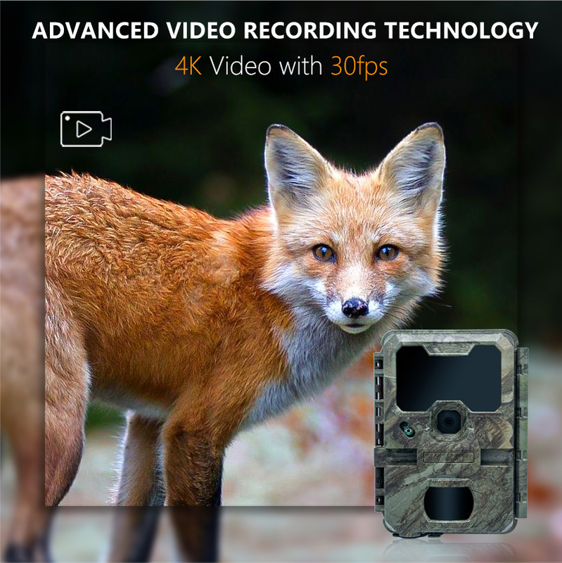 Fotocamera da caccia a visione notturna con piccola dimensione KW788 0.1s azionamento immagine nitida 32MP video 4K impermeabile IP67 per la caccia
