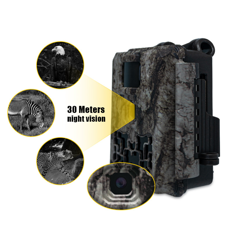 Fotocamera per il percorso della fauna selvatica senza luce 30MP Immagine 1080P Video impermeabile IP67 fino a 512GB Memoria Prezzo competitivo Fotocamera da caccia