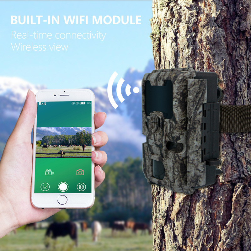 Fotocamera di caccia 20MP 1080P Fotocamera per la fauna selvatica Ignifuga IP67 Gioco e prova Fotocamera fino a 512GB Memoria fino a 82 piedi