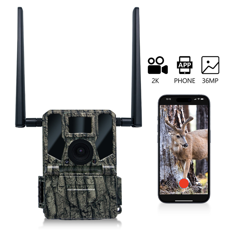 2024 Nuova High-End 4G Wireless Hunting Camera KW897 con doppia antenna 100ft Night Range 36MP 2K Video a 30fps per la fauna selvatica