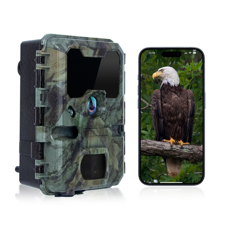 Trail Camera With Small Size KW788 0.1s Risposta 32MP nitida Immagine 4K Video impermeabile IP67 fino a 512GB per l'osservazione della fauna selvatica