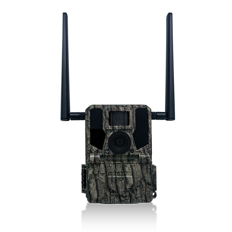 4G Trail Camera Offre opzioni di montaggio versatili e alloggiamento resistente alle intemperie Perfetto per compiti di monitoraggio all'aperto