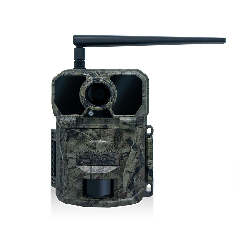 Telecamera Wireless Trail progettata per campo esteso con costruzione robusta e trasmissione di immagini chiare per compiti di monitoraggio all'aperto