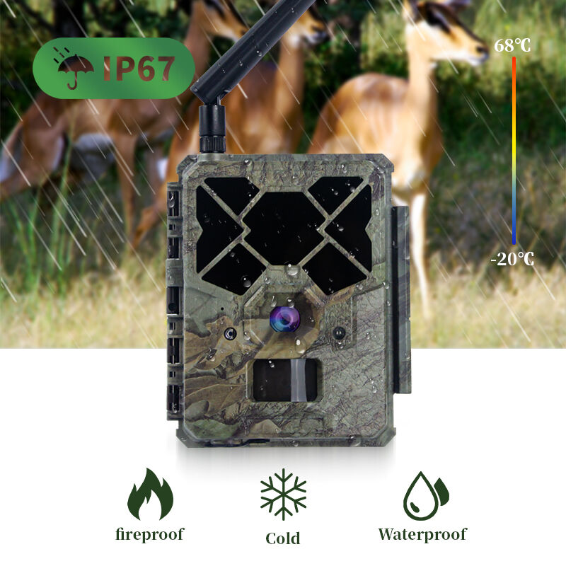 Supporta fino a 32 GB di schede microSD Camera di gioco cellulare con video Full HD 1080p Ideale per la sicurezza e il monitoraggio della fauna selvatica